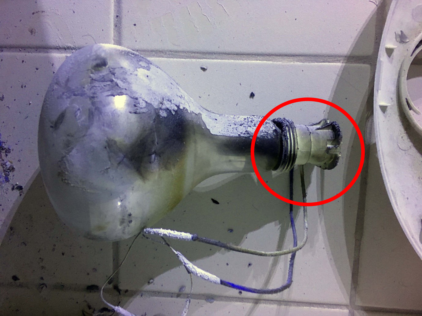 [image] example of a bulb with a plastic lamp holder circled in red.