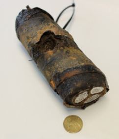 [image] a damaged power cable - put next to a two dollar coin to show scale.