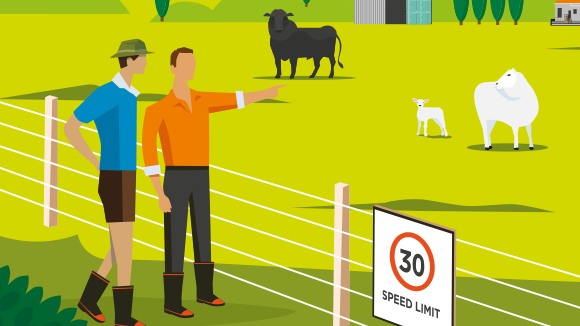 [image] Farmer pointing and worker beside him looking over fence with speed limit sign - sheep, lamb and bull in paddock beyond