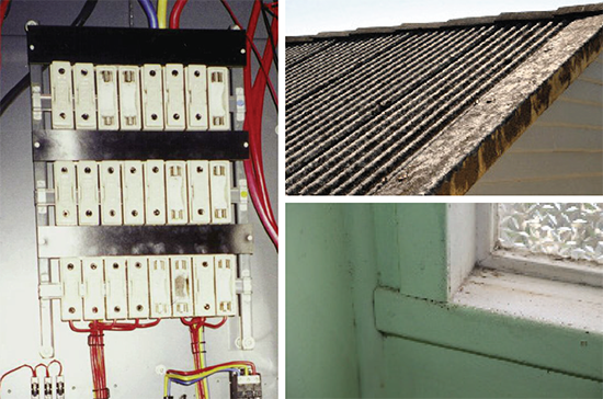 [image] Fuse box, roof and window sill possibly containing asbestos