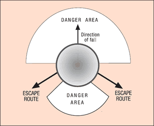 [Image] Directional fall of a chainsaw with shaded danger areas; black arrows show ideal escape routes. 