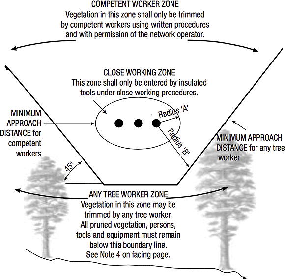 [Image] Infographic showing minimum approach distance zones for tree workers of any competency. 