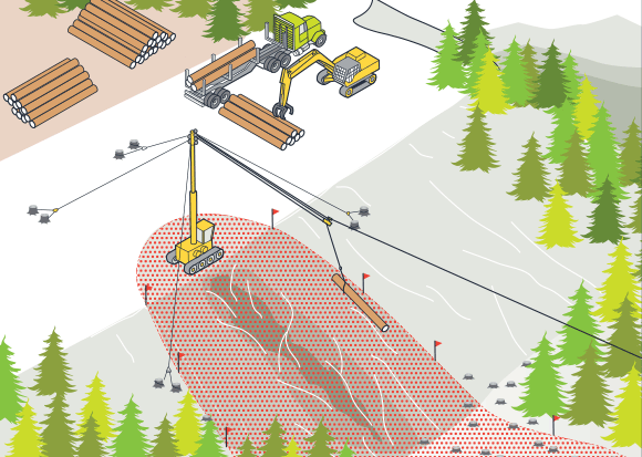 [Image] Stabilised bulldozer lifting a log inside safe retreat distance area marked by red flags; truck, second bulldozer, stacked logs and trees in background. 
