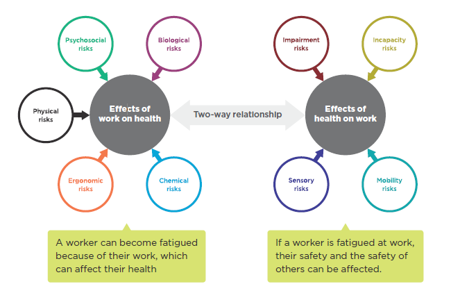 [image] a worker can become fatigued which can affect their health, and if a worker is fatigued, their health and the safety of others can be affected.