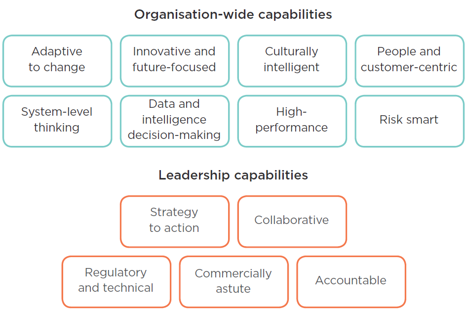 Organisation wide and leadership capabilities