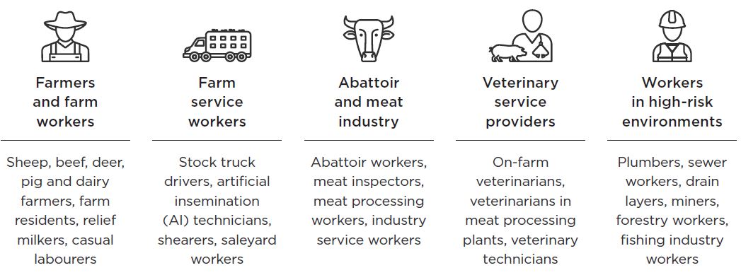 [image] Leptospirosis – high-risk jobs