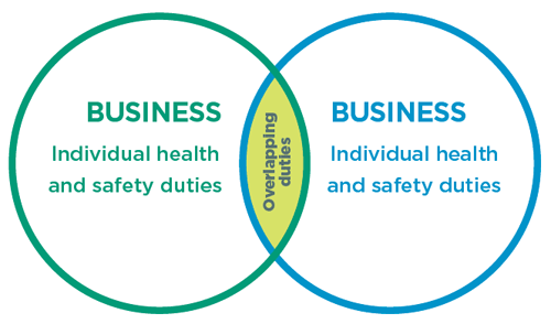 [image] Venn diagram showing overlapping business duties