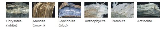 [image] Picture showing types of asbestos minerals