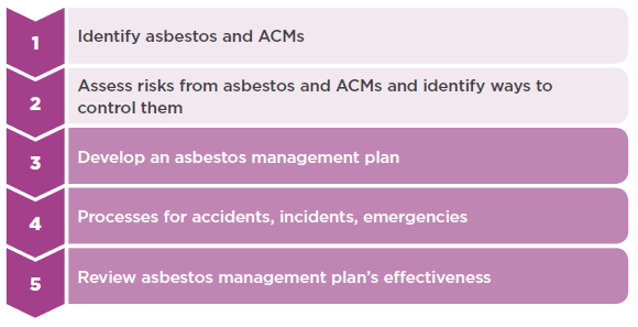 [image] Asbestos management process - Steps 3-5