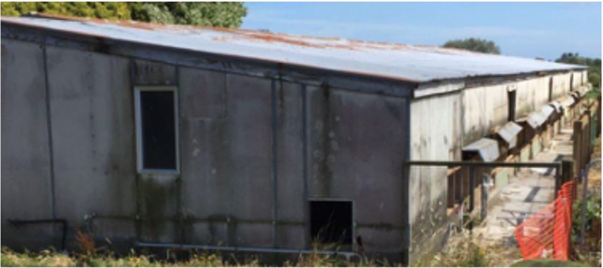 [image] Chicken shed built from asbestos cladding