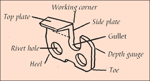 [Image] Parts of a cutter including top plate, working corner, side plate, gullet, depth gauge, toe, heel and rivet hole. 