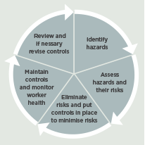 [Image] Diagram showing risk management cycle