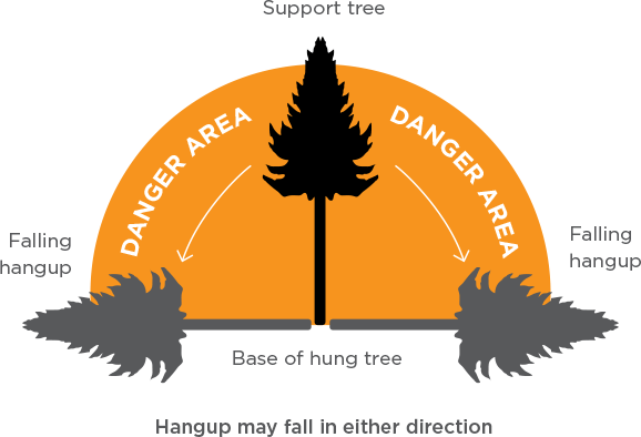 [Image] Infographic showing support tree and danger zone of falling hung-up tree. 