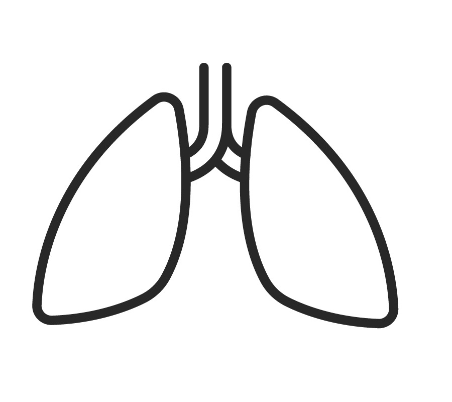 image illustration of lungs