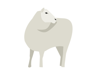 [image] Sheep hero