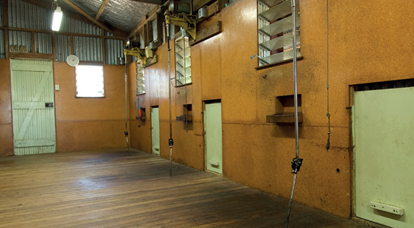 [image] The inside of an empty woolshed